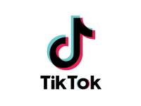 Plattform Logos 400X300Px Tiktok